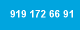 919 172 66 91